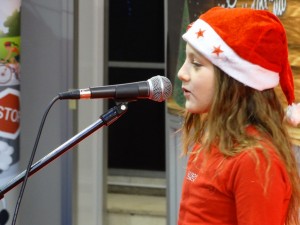 DSC00340_1024x768