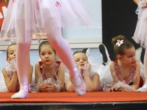 DSC00846_800x600