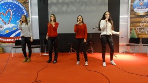 DSC00910_800x451