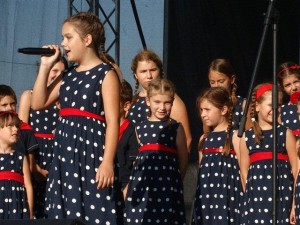 20160828 Karneval Brodova (12)