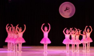 DSC08203
