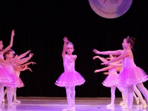 DSC08209