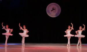 DSC08233