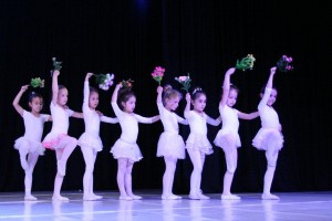 ps1 (17)