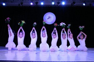 ps1 (18)