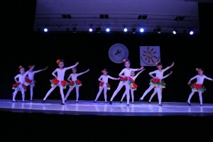 ps2 (15)