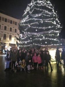 foto (7)