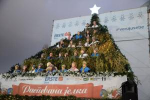 foto (10)