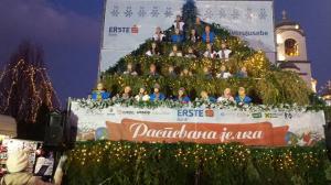 foto (7)
