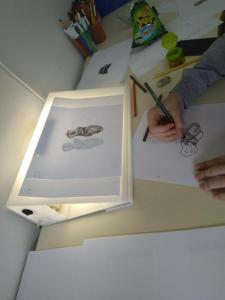 foto (8)