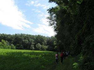 foto (20)