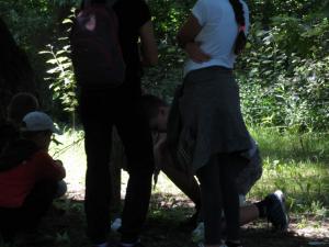 foto (76)