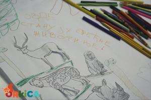 foto (3)