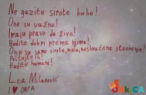 foto (5)