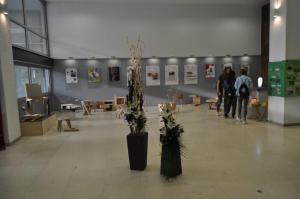 20190530 drvoArt (29)