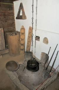 NEF 5875 797x1200 compressed