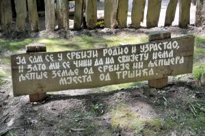 NEF 5890 1600x1063 compressed