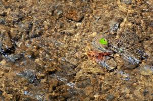 NEF 5892 1600x1063 compressed