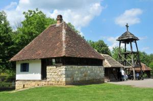 NEF 5895 1600x1063 compressed