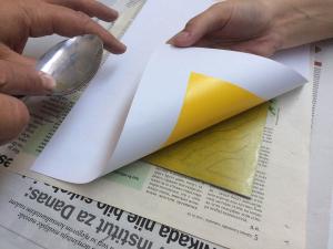 2019-08-05 ip5s IMG 2020