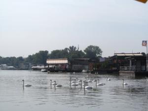 20190901 ratnoOstrvoDrugiDan (10) 800x600