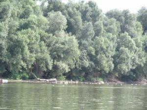 20190901 ratnoOstrvoDrugiDan (100) 800x600