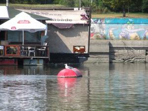 20190901 ratnoOstrvoDrugiDan (11) 800x600