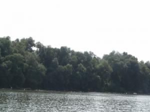 20190901 ratnoOstrvoDrugiDan (12) 800x600