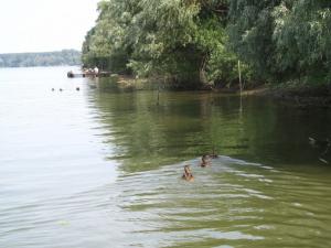 20190901 ratnoOstrvoDrugiDan (17) 800x600