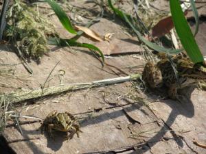 20190901 ratnoOstrvoDrugiDan (22) 800x600