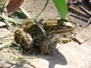 20190901 ratnoOstrvoDrugiDan (23) 800x600