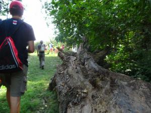 20190901 ratnoOstrvoDrugiDan (24) 800x600