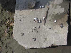 20190901 ratnoOstrvoDrugiDan (45) 800x600