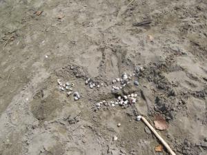 20190901 ratnoOstrvoDrugiDan (61) 800x600