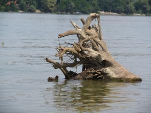 20190901 ratnoOstrvoDrugiDan (74) 800x600