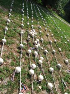 20190901 ratnoOstrvoDrugiDan (87) 450x600