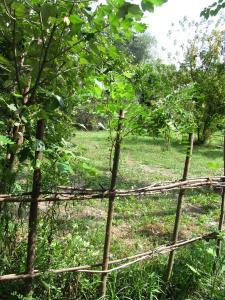 20190901 ratnoOstrvoDrugiDan (88) 450x600