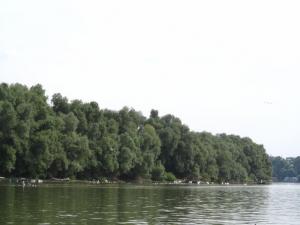 20190901 ratnoOstrvoDrugiDan (98) 800x600