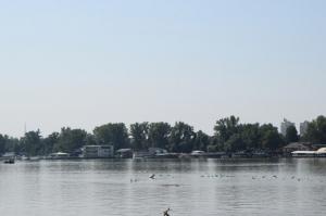 20190901 treciDanRatnoOstrvo (10)