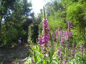 20190901 treciDanRatnoOstrvo (100)