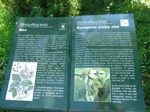 20190901 treciDanRatnoOstrvo (103)