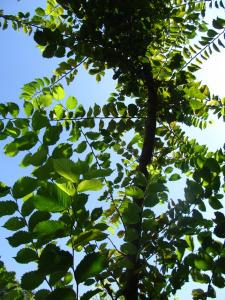 20190901 treciDanRatnoOstrvo (104)