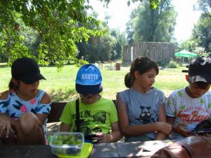 20190901 treciDanRatnoOstrvo (107)