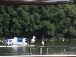 20190901 treciDanRatnoOstrvo (125)