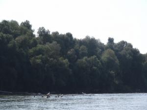 20190901 treciDanRatnoOstrvo (31)