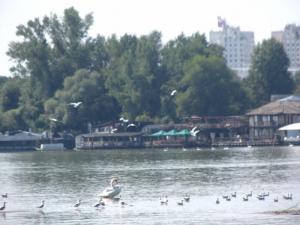 20190901 treciDanRatnoOstrvo (40)