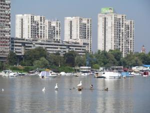 20190901 treciDanRatnoOstrvo (41)