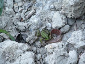 20190901 treciDanRatnoOstrvo (43)