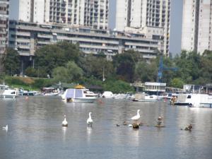 20190901 treciDanRatnoOstrvo (44)