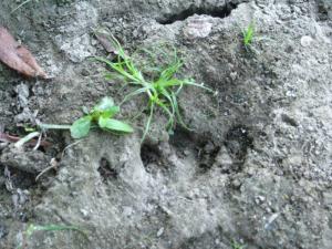 20190901 treciDanRatnoOstrvo (46)